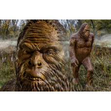 Rinehart Sasquatch